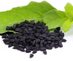 RAISINS (Golden,Black, Green, Malayar Quality, Brown)