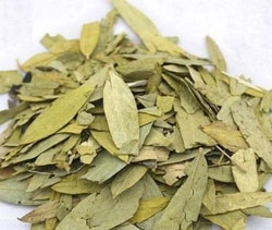 SENNA LEAVES
