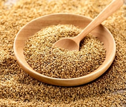 GOLDEN SESAME SEEDS