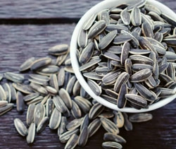 SUNFLOWER SEEDS