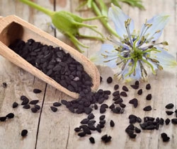 Nigella Seeds