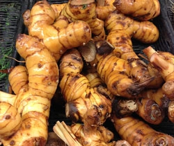 Galangal Roots