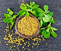 Fenugreek Seeds