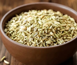 Fennel Seeds